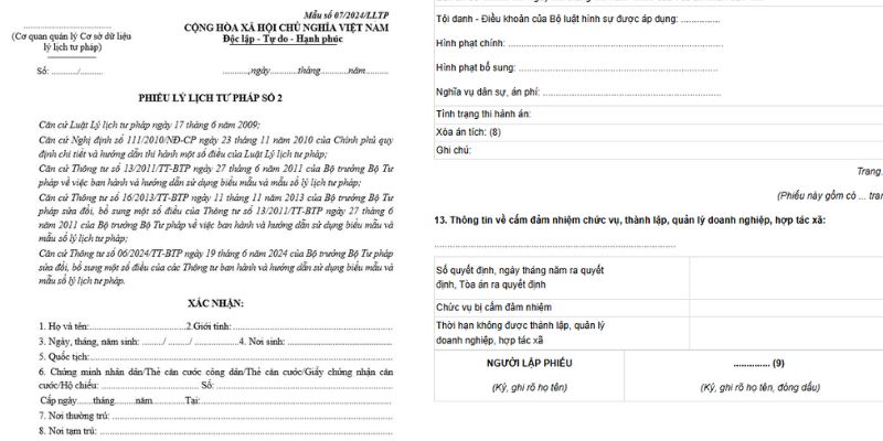 Mẫu lý lịch tư pháp số 2