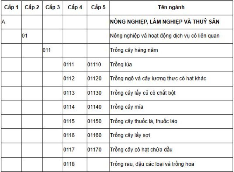 Mỗi ngành được chia thành 5 cấp với từng mã tương ứng