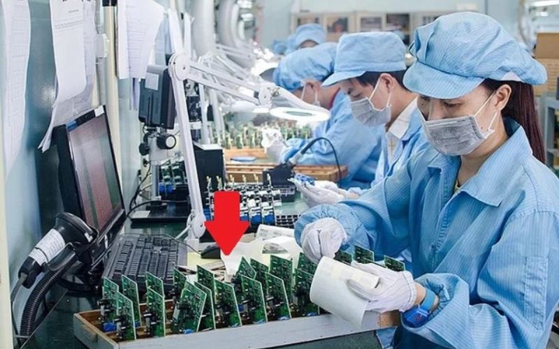 Người lao động tự do cũng là đối tượng được hưởng lợi 