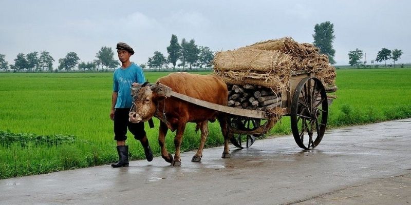 Xe thô sơ là một phương tiện quen thuộc với người dân hiện nay