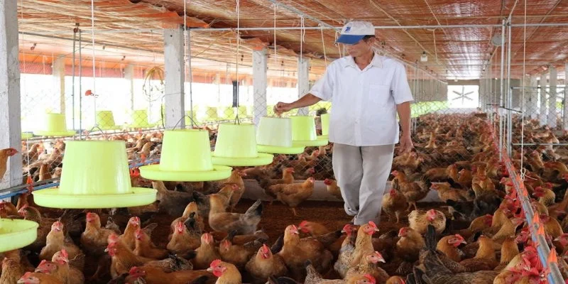 Nếu bạn bán thuốc cấm, thuốc giả sẽ bị xử lý hình sự