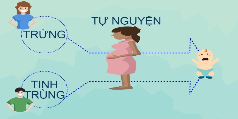 Cần có đơn đề nghị mang thai hộ (theo mẫu) phù hợp