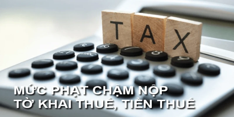 Chậm nộp tờ khai thuế GTGT có thể khiến công ty bị xử phạt từ cảnh cáo đến 25 triệu đồng