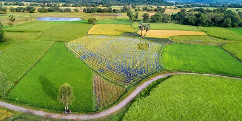 Nhiều trường hợp các bên thường không thống nhất được vị trí và mức đền bù khi mở lối đi qua