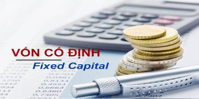 Vốn cố định và vốn lưu động đều là bộ phận quan trọng trong cơ cấu vốn của công ty