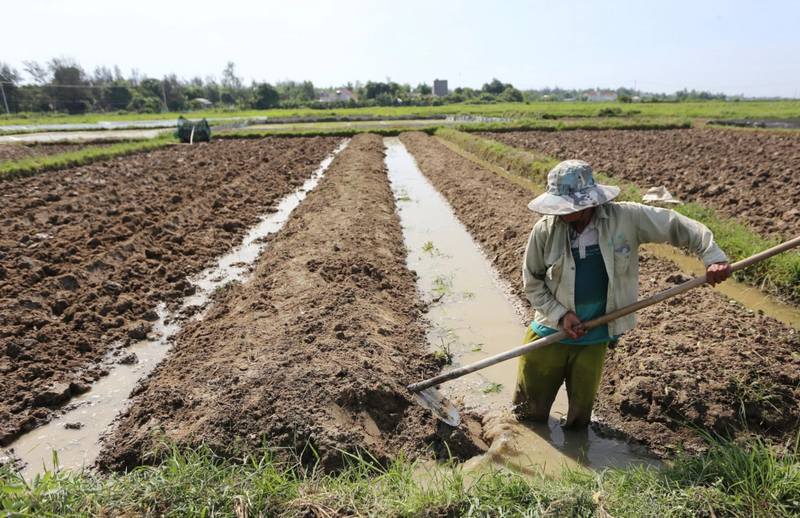 Đất HNK có được mua bán không?