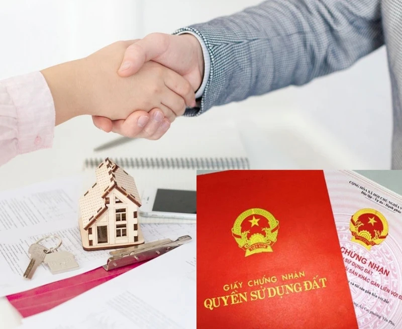 Đất sử dụng chung có thể được hình thành từ nhiều nguồn khác nhau
