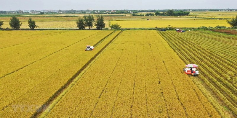 Hãy check diện tích trên giấy tờ có phù hợp với hiện trạng không