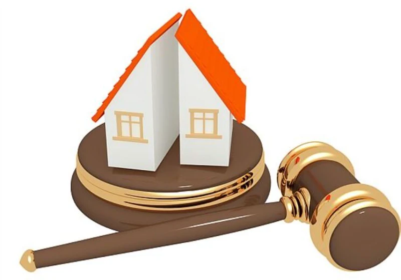 Khoản 2 Điều 95 phân định hai loại hình đăng ký